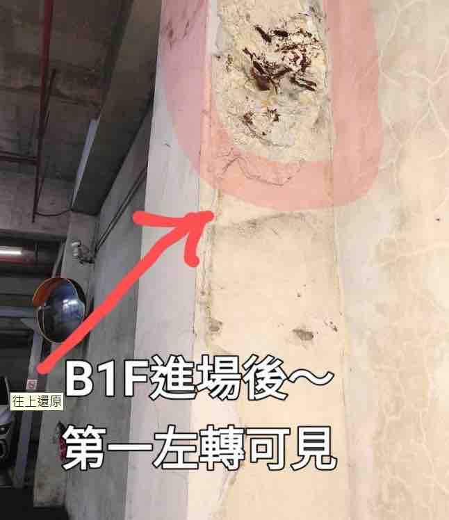 泥作/水泥施工案件圖片