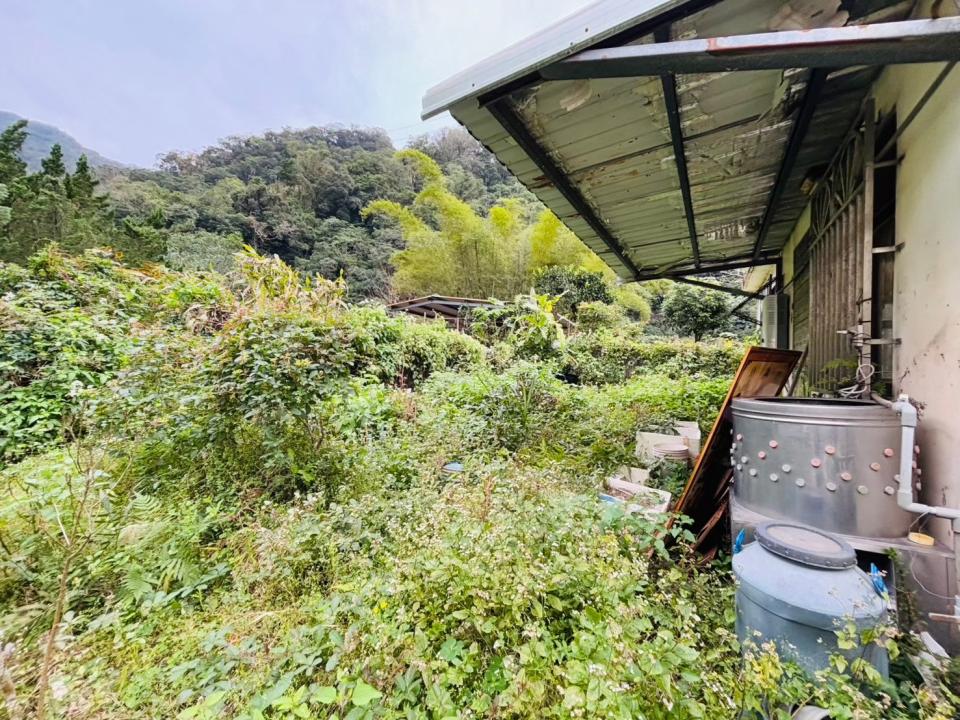 園藝維護案件圖片