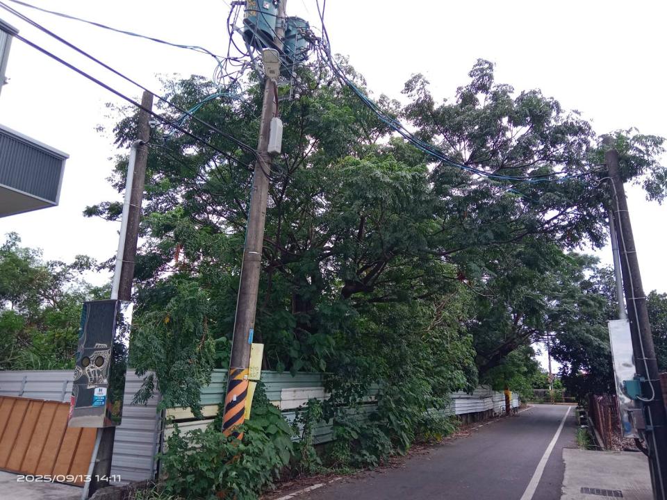 園藝維護案件圖片