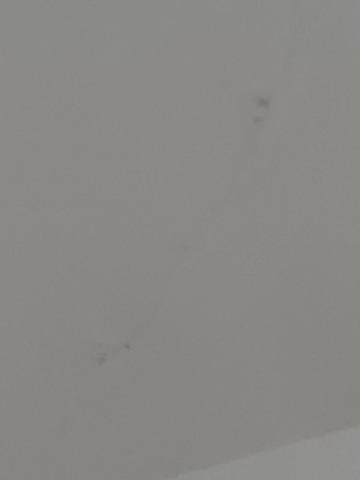 抓漏案件圖片