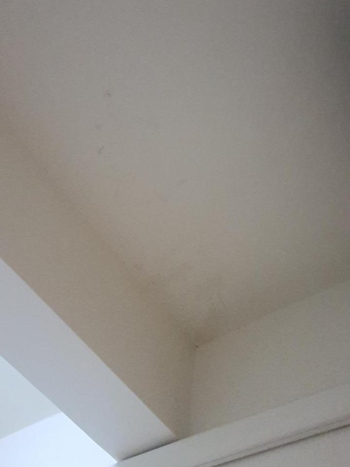 漏水處理案件圖片