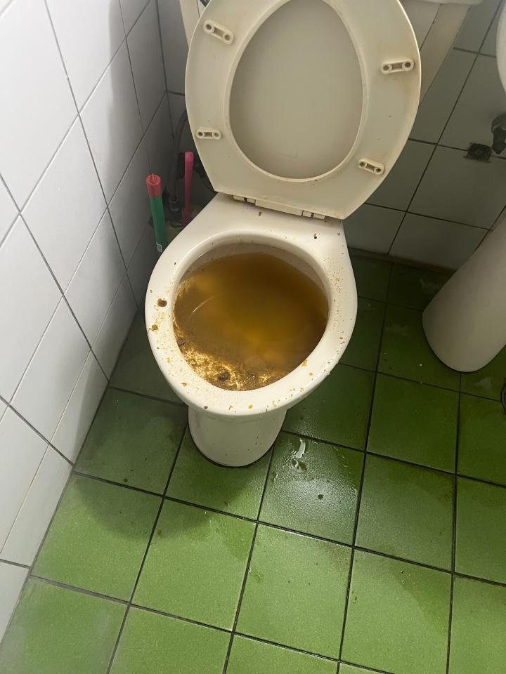 通馬桶案件圖片