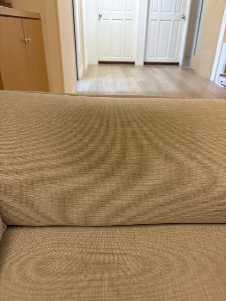 沙發清潔案件圖片