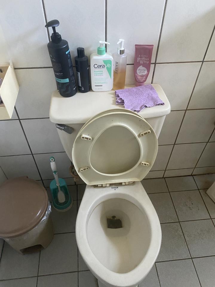 馬桶裝修案件圖片