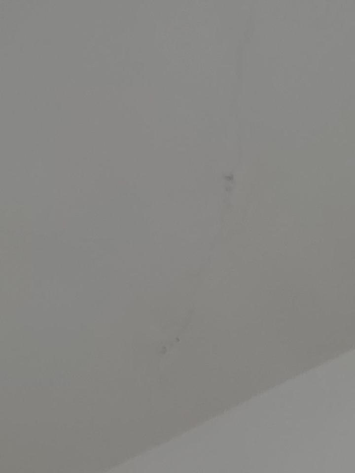 抓漏案件圖片