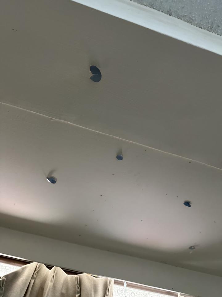 油漆工程案件圖片