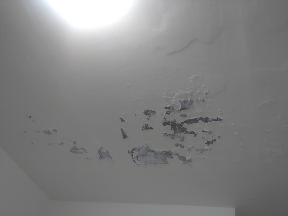 漏水鑑定案件圖片