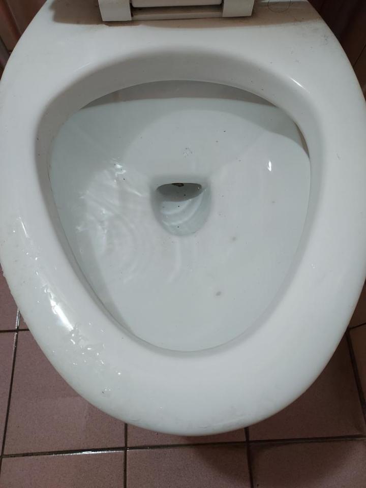 通馬桶案件圖片