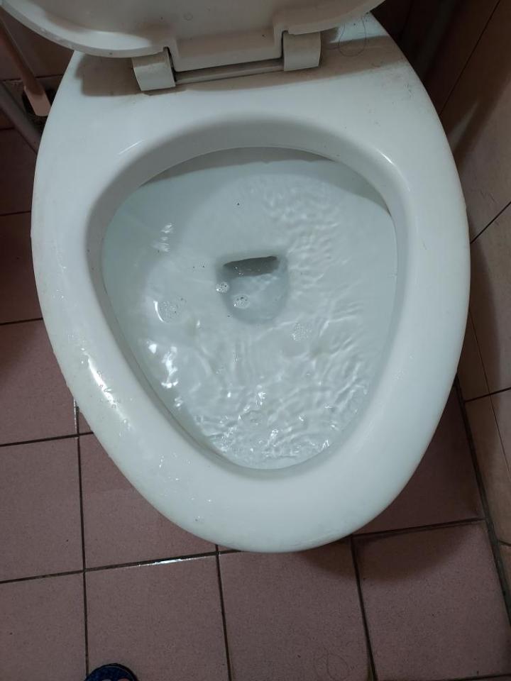 通馬桶案件圖片
