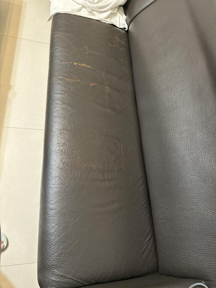 沙發修理案件圖片