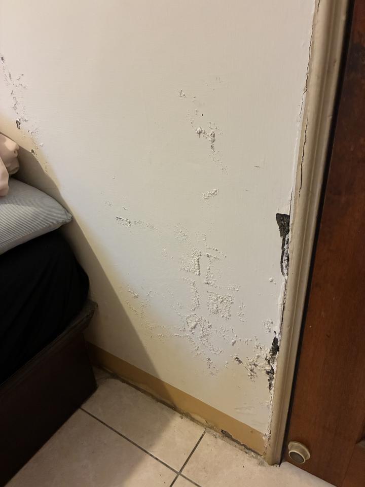 壁癌處理案件圖片