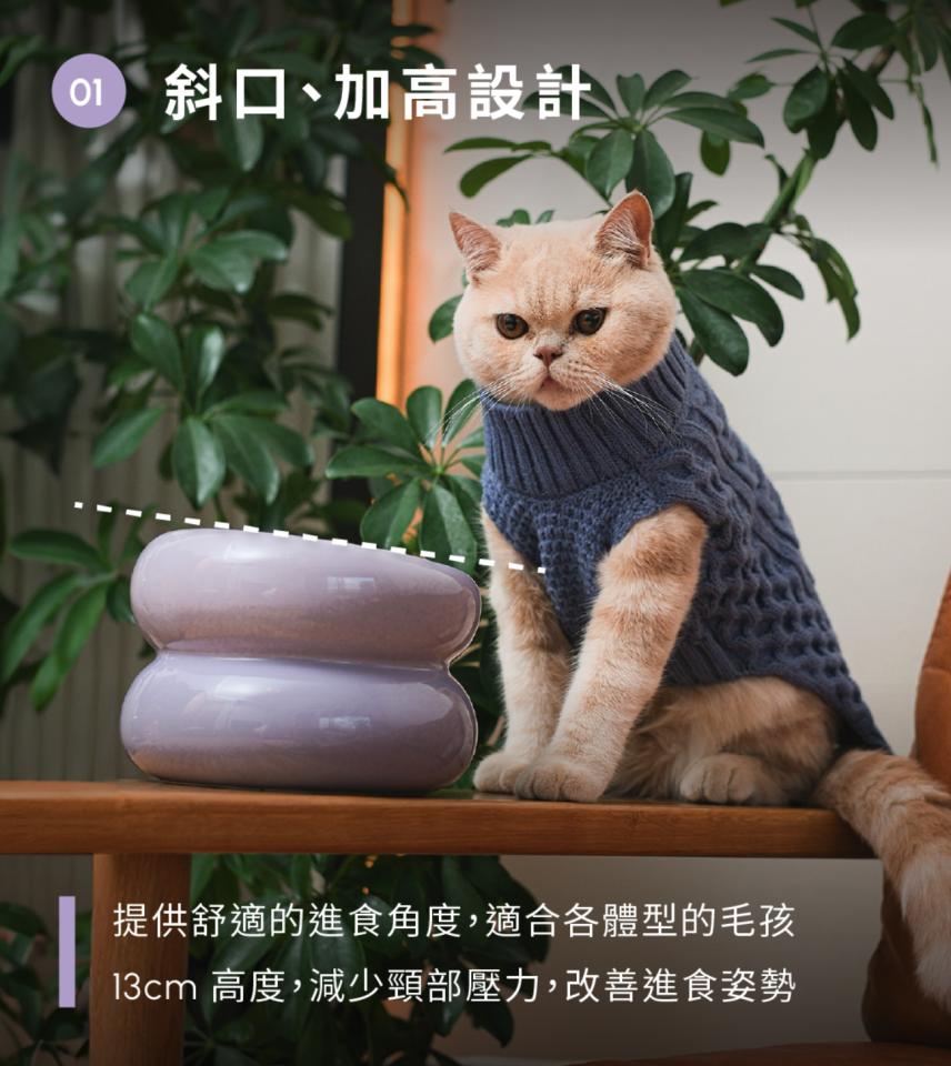 美編設計案件圖片