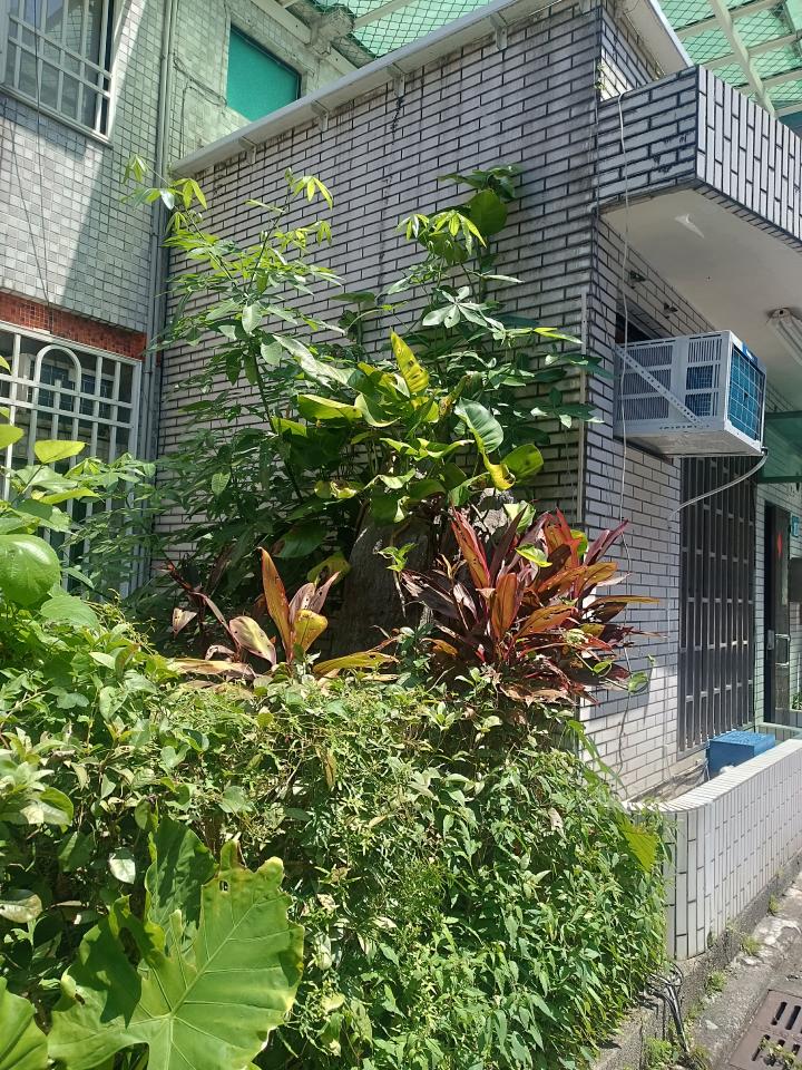油漆工程案件圖片