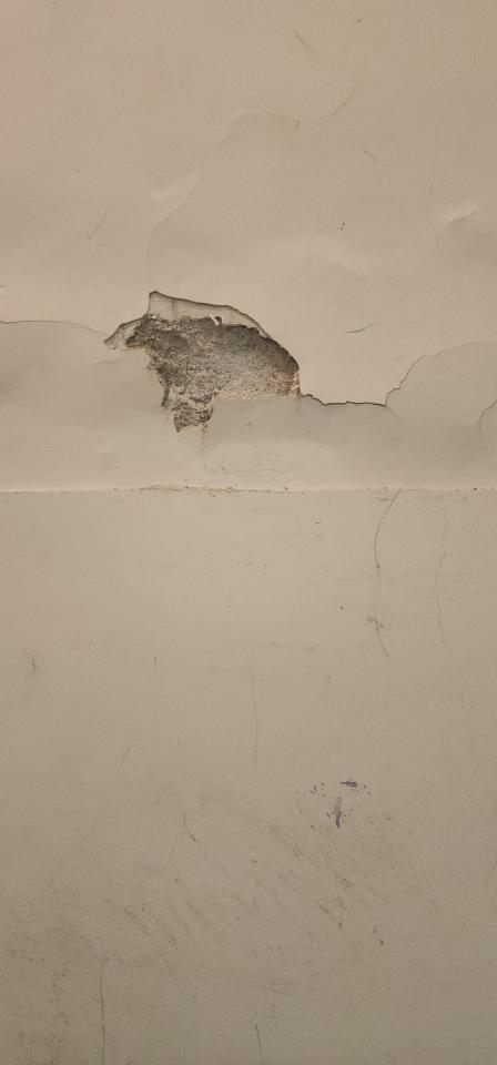 油漆工程案件圖片