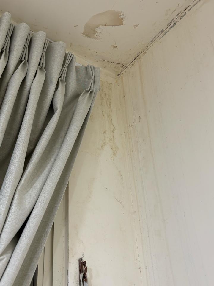 油漆工程案件圖片