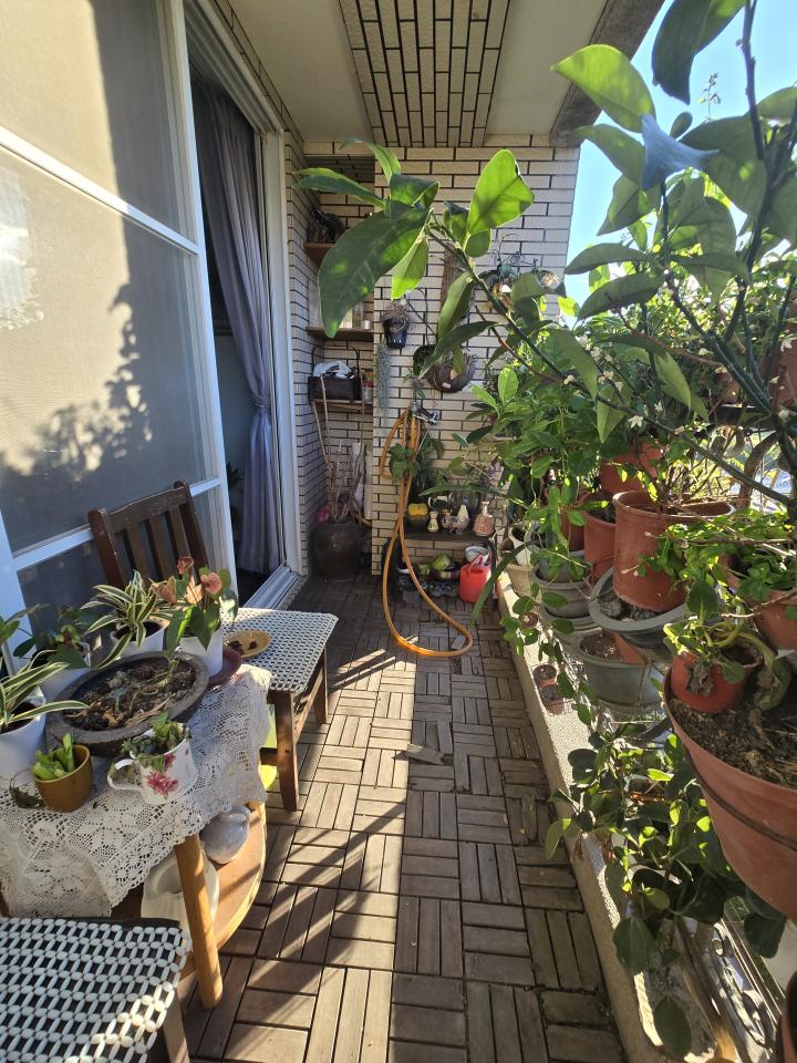 園藝維護案件圖片