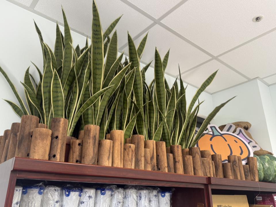 家具搬運案件圖片