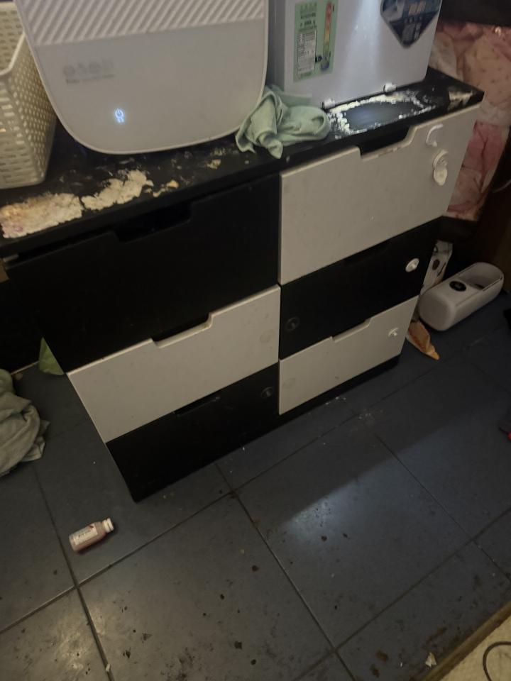 大型垃圾回收案件圖片