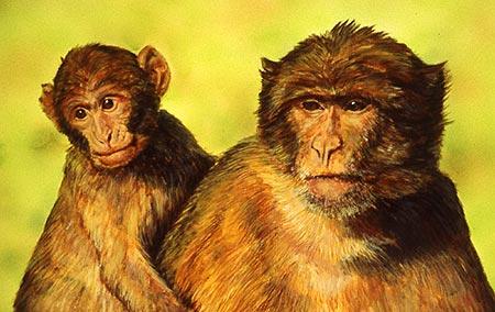 Art Beyond Limits - 母與子（1996，壓克力，26 x 32.8 cm）