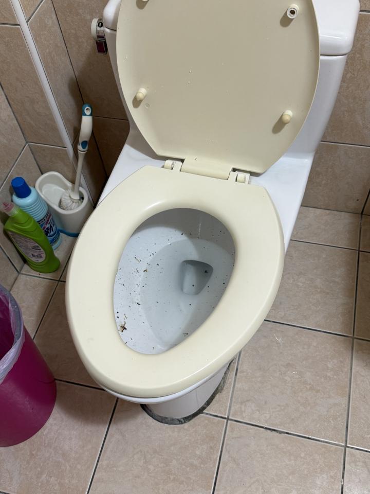 通馬桶案件圖片