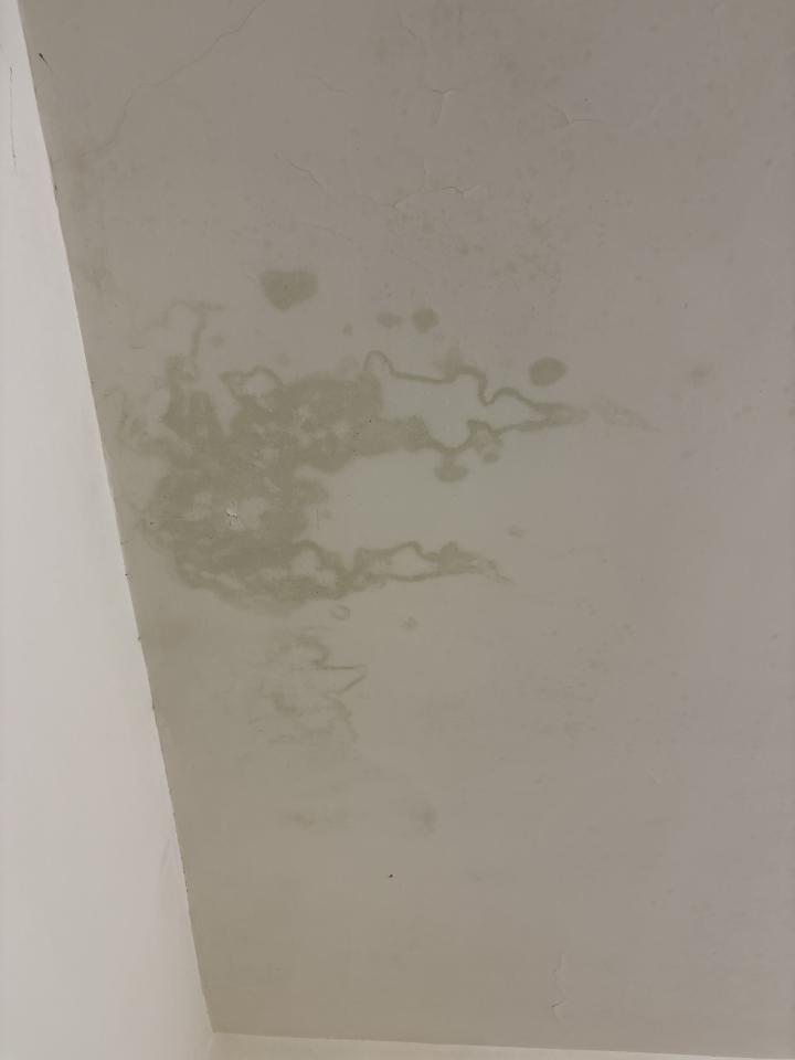抓漏案件圖片