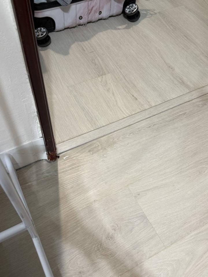 抓漏案件圖片