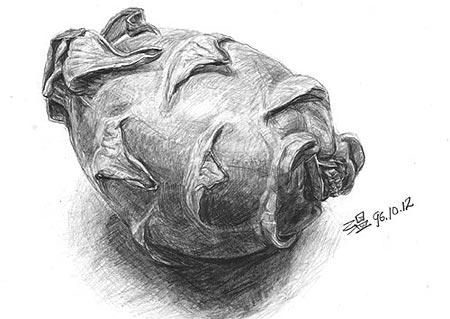 Art Beyond Limits - 火龍果（1996，素描，21 x 29.7cm）