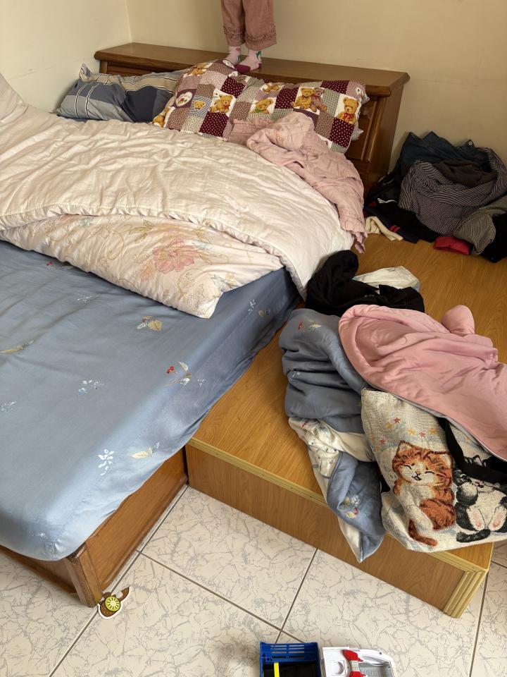 大型垃圾回收案件圖片