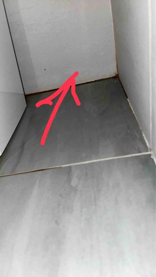 馬桶裝修案件圖片
