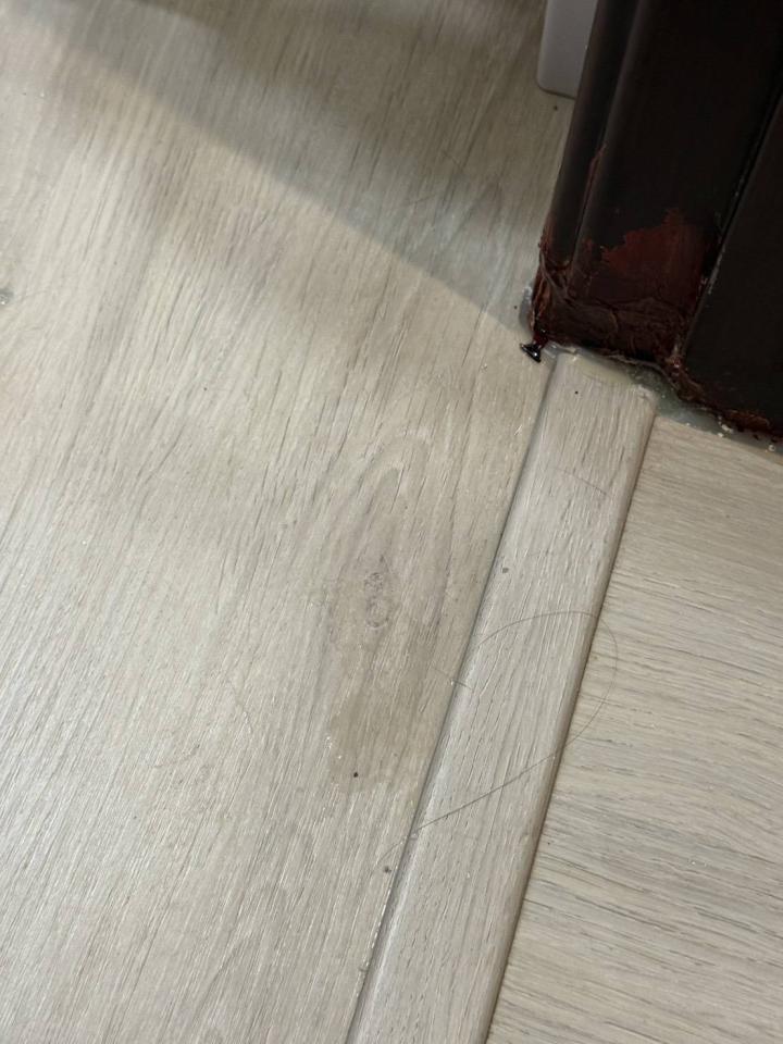 抓漏案件圖片