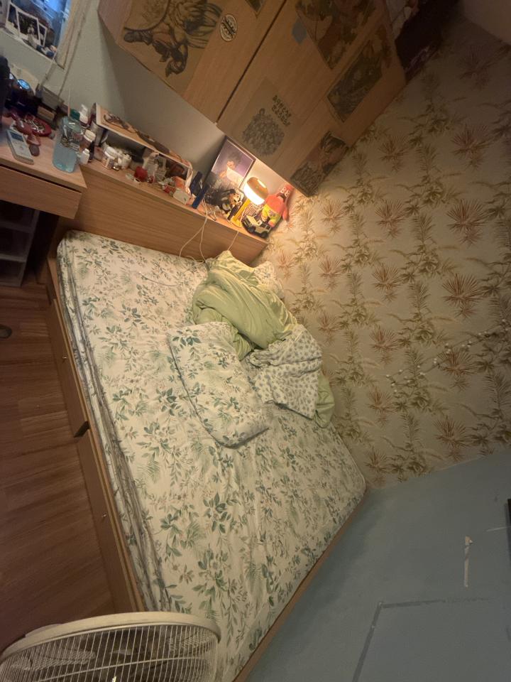 木工施工案件圖片