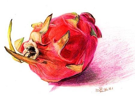 Art Beyond Limits - 火龍果（1996，色鉛筆，21 x 29.7cm）