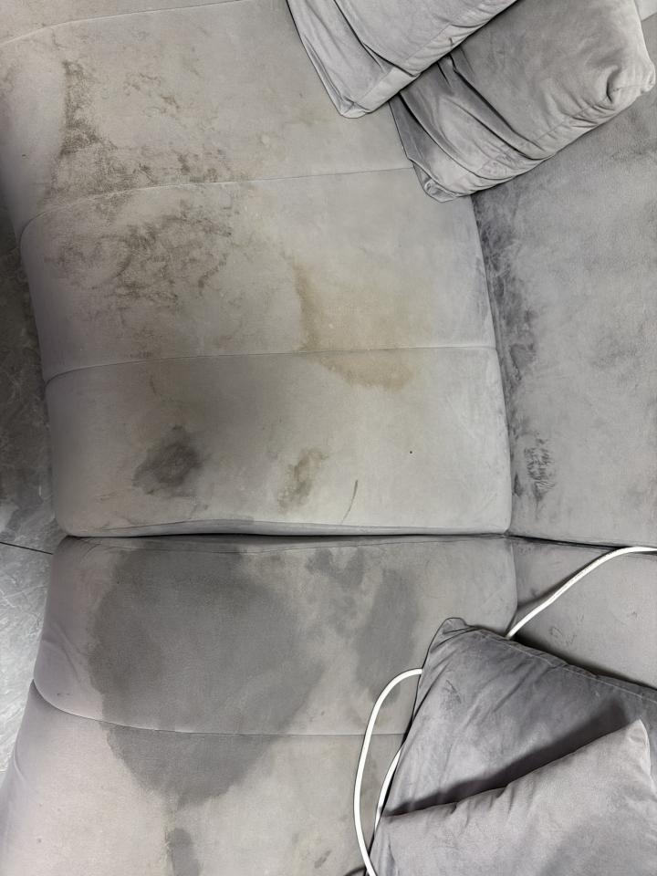 沙發清潔案件圖片