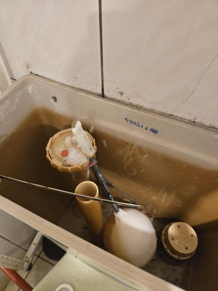 馬桶裝修案件圖片