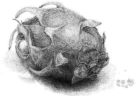 Art Beyond Limits - 火龍果（1996，針筆，21 x 29.7cm）