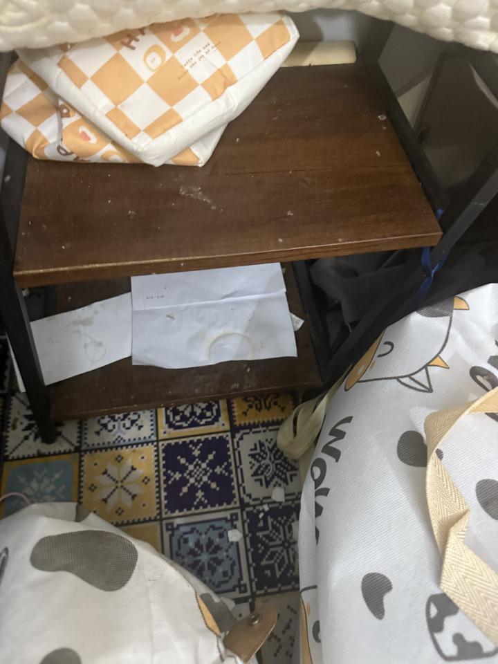 大型垃圾回收案件圖片
