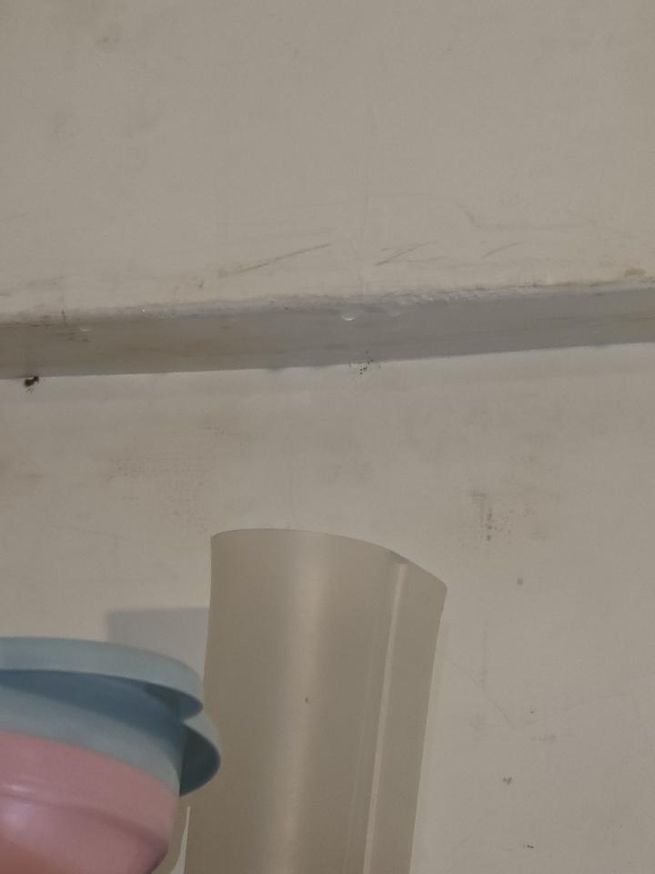 抓漏案件圖片