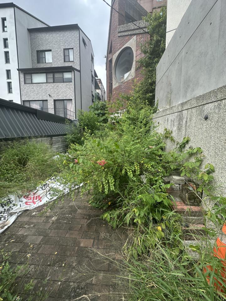 園藝維護案件圖片