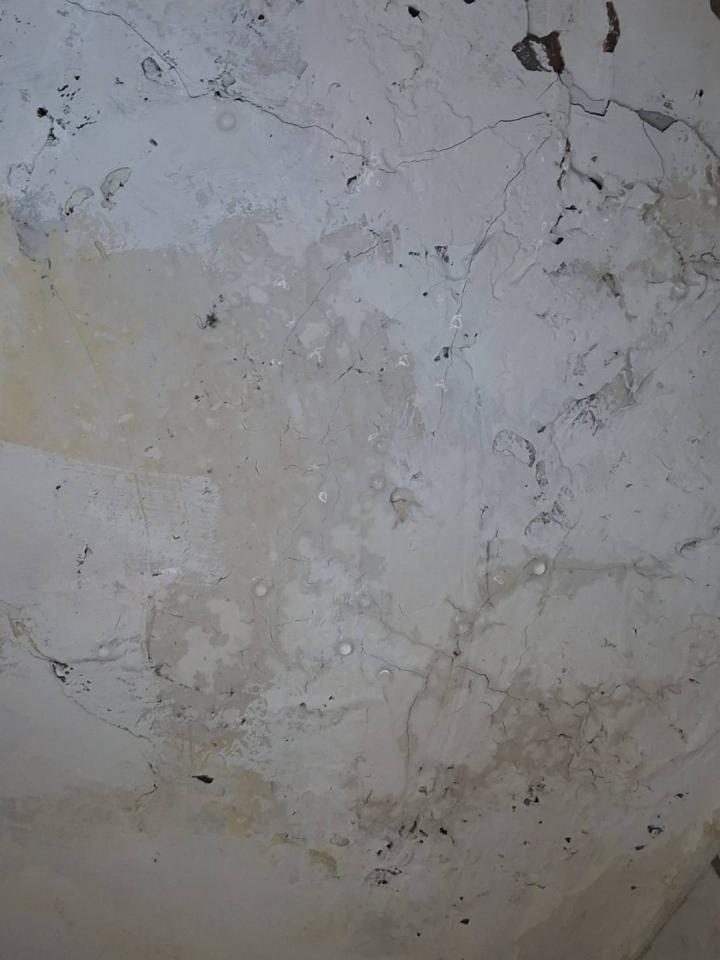 抓漏案件圖片