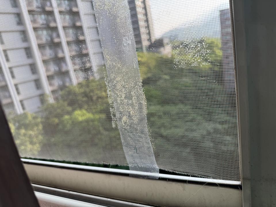 紗窗裝修案件圖片