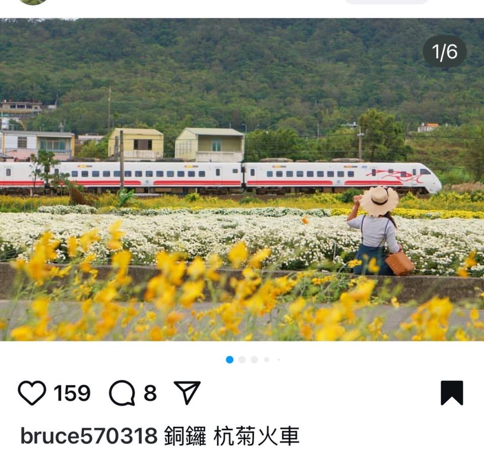 插畫案件圖片