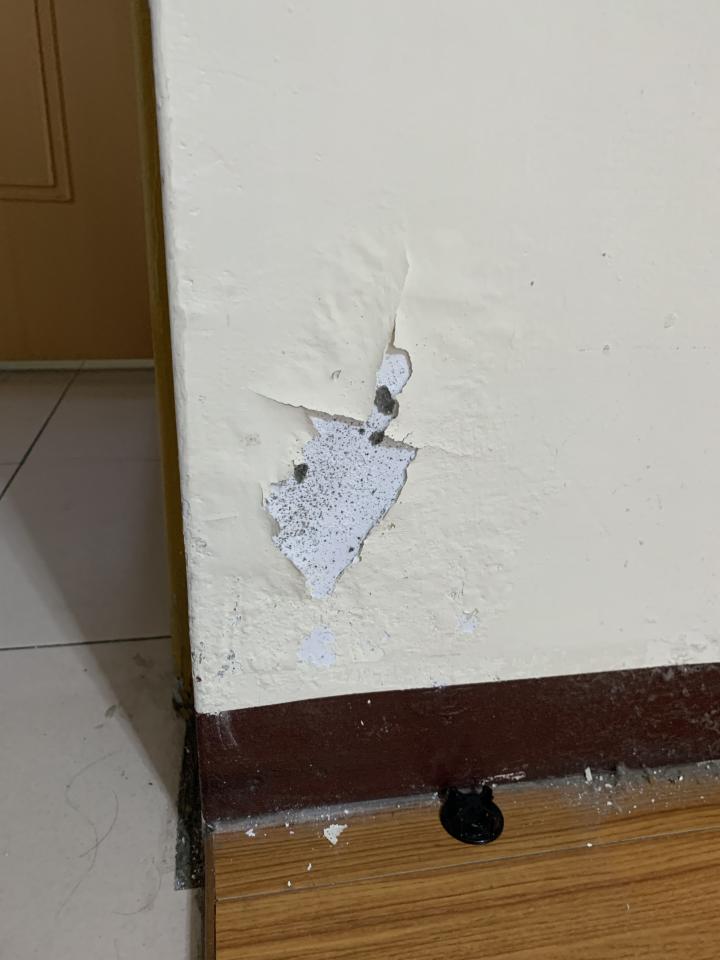 油漆工程案件圖片