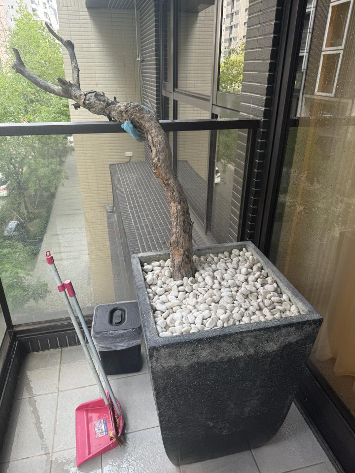大型垃圾回收案件圖片