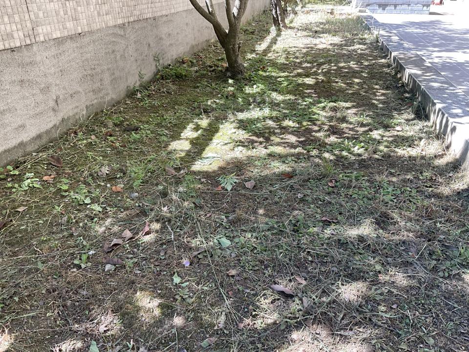 園藝維護案件圖片