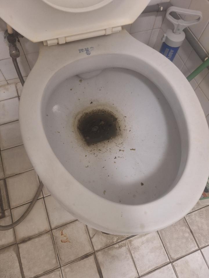 通馬桶案件圖片