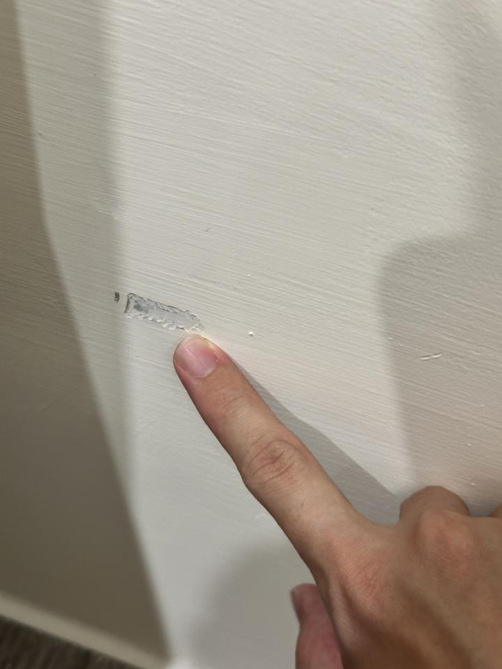 油漆工程案件圖片