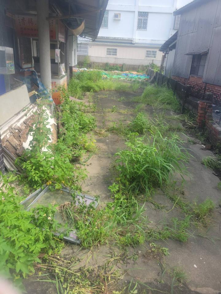 園藝維護案件圖片