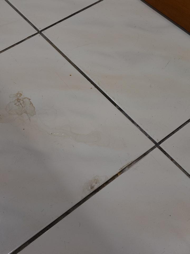 漏水處理案件圖片