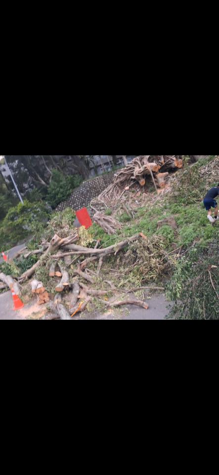 大型垃圾回收案件圖片
