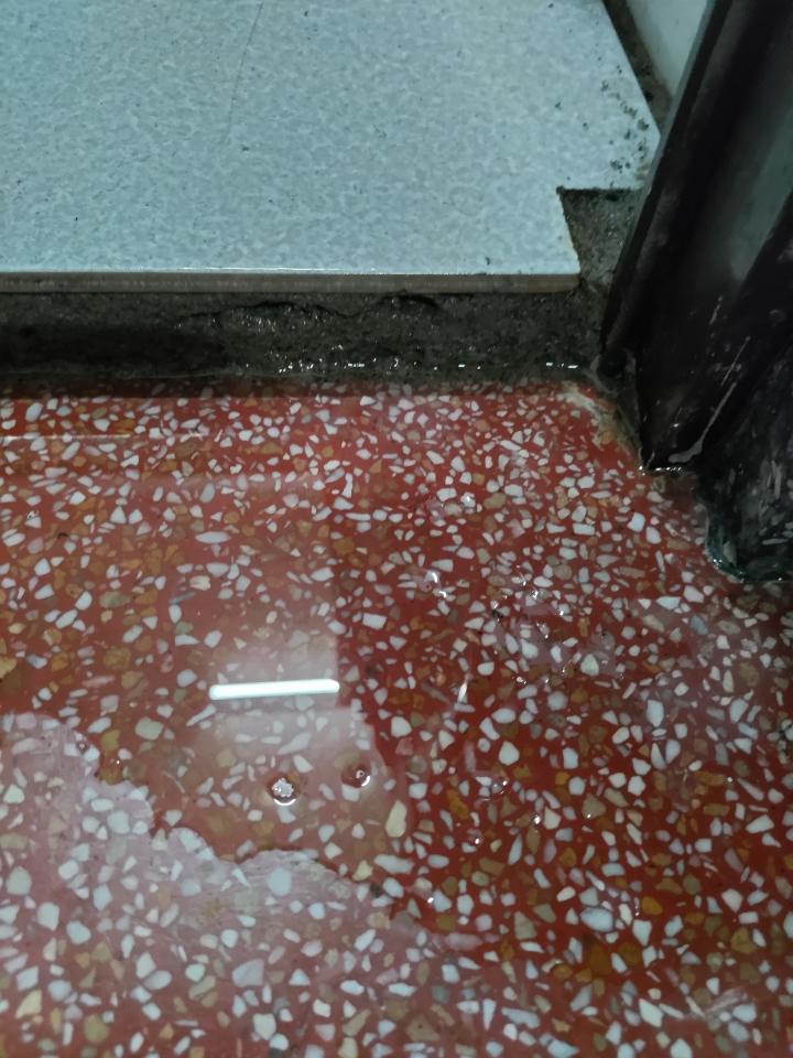 抓漏案件圖片